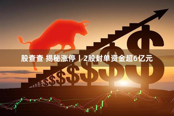股查查 揭秘涨停丨2股封单资金超6亿元