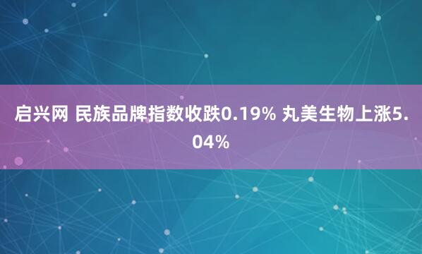 启兴网 民族品牌指数收跌0.19% 丸美生物上涨5.04%