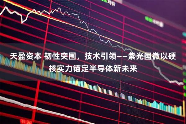 天盈资本 韧性突围，技术引领——紫光国微以硬核实力锚定半导体新未来