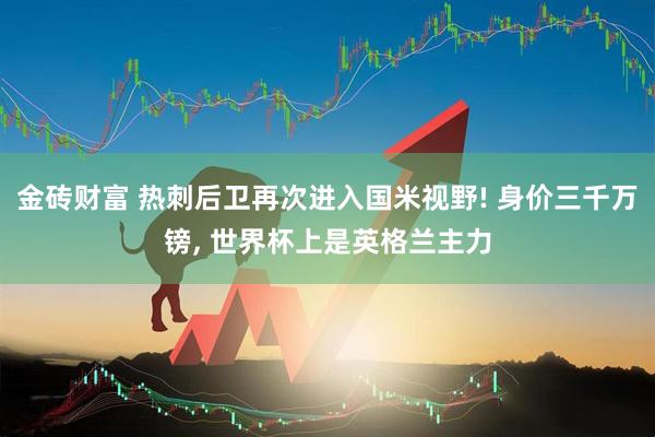 金砖财富 热刺后卫再次进入国米视野! 身价三千万镑, 世界杯上是英格兰主力